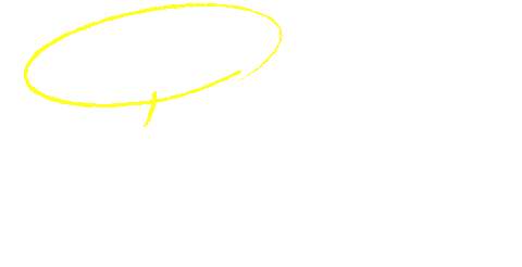 あなたの愛犬にぴったりのフードは？　フード選びガイド