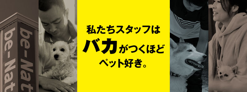 私たちスタッフはバカがつくほどペット好き。